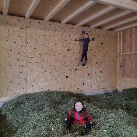 Bergbauernhof Familienparadies Oberhasenberghof Chalet *