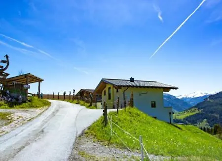 Bergbauernhof Kinderparadies Oberhasenberghof Taxenbach