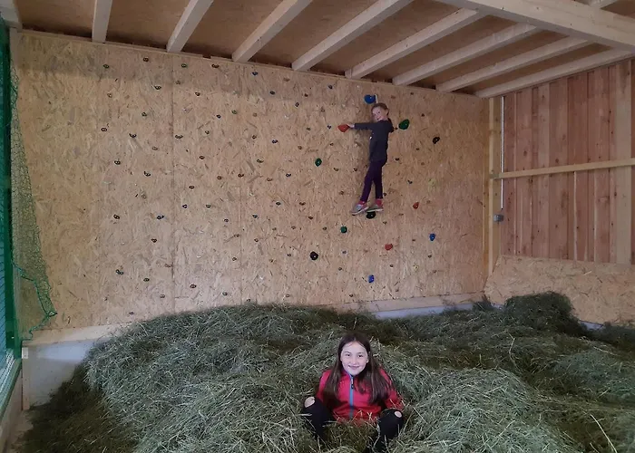 Bergbauernhof Familienparadies Oberhasenberghof Chalet *