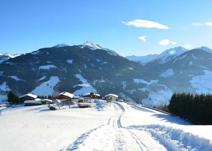 Bergbauernhof Familienparadies Oberhasenberghof タクセンバッハ